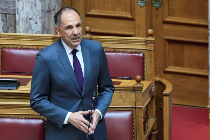 Γ. Γεραπετρίτης: Αναγκαίο να αντιμετωπιστεί η παράνομη διακίνηση πολιτιστικών αγαθών 