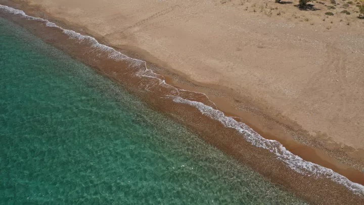 Αναδυόμενη καλλονή
