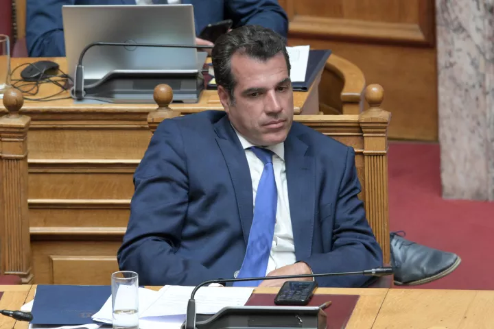 Θ. Πλεύρης: Αναγκαία η επανεξέταση των όρων παροχής ασύλου συνολικά από την Ευρώπη