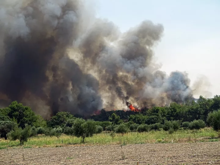 Φωτιά στο Άνω Καστρίτσι Αχαΐας - Ισχυρές πυροσβεστικές δυνάμεις (vid)