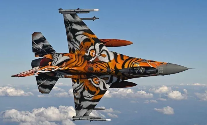 Συμμετοχή της 335 Μοίρας στην Νατοϊκή άσκηση "Tiger Meet 2025" (Pics)