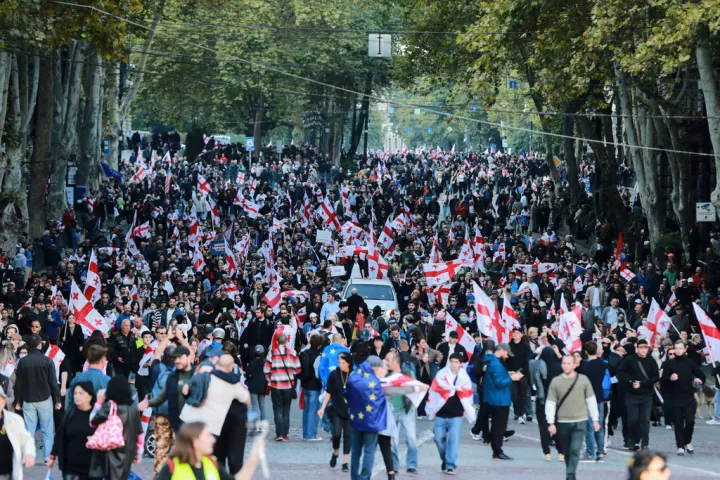 Γεωργία: Συγκρούσεις αστυνομικών με διαδηλωτές που επιχείρησαν να μπουν στο προεδρικό μέγαρο, ανήμερα των δημοτικών εκλογών (pics&vids)	