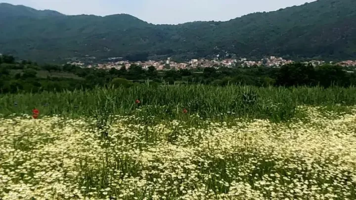 Σοχός: Από την παράδοση στην τουριστική εξωστρέφεια – Ο πρώτος Τουριστικός Οδηγός ανοίγει νέους ορίζοντες
