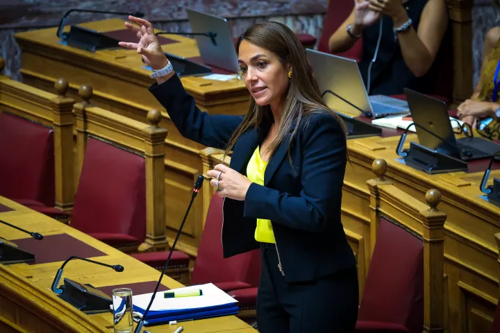 Δ. Μιχαηλίδου: Για τρία χρόνια ακόμα η υλοποίηση του προγράμματος «Αποϊδρυματοποίηση Ατόμων με Αναπηρία»