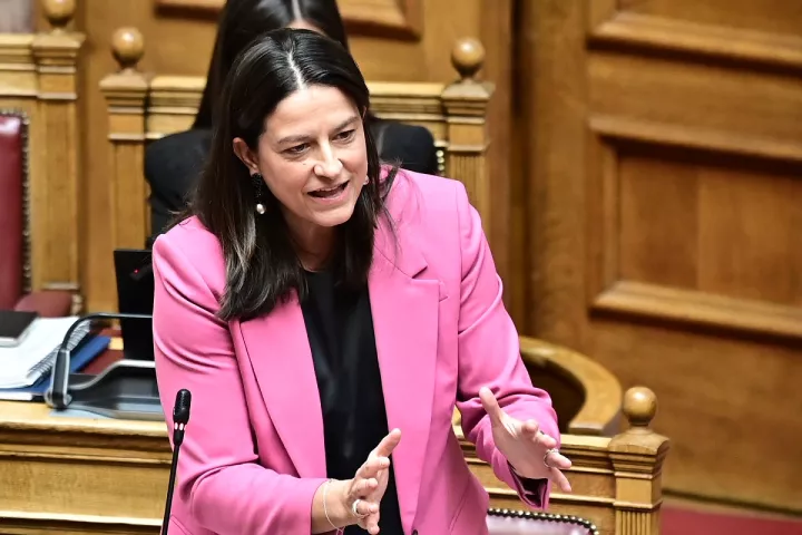  Ν. Κεραμέως: Τα μη κρατικά πανεπιστήμια δεν λειτουργούν με χρήματα των φορολογουμένων