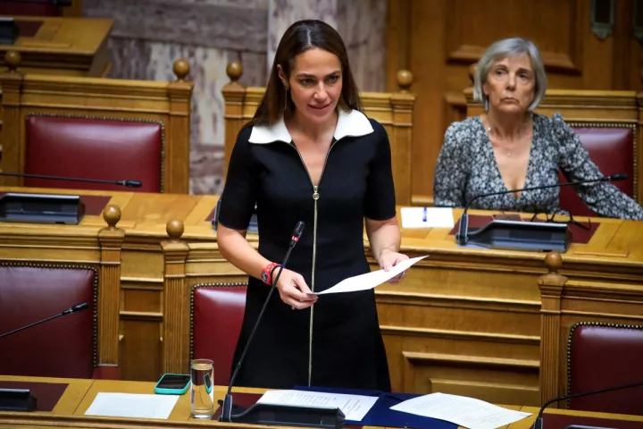Δ. Μιχαηλίδου: Η στήριξη των πολυτέκνων αποτελεί πάγια προτεραιότητα της κυβέρνησης