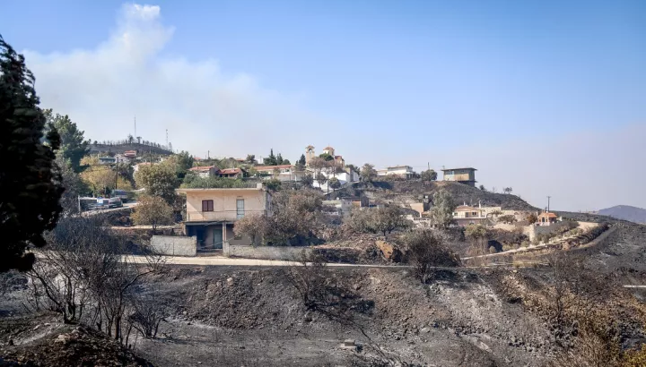 ΥΠΕΝ: Η Εθνική Τράπεζα αναλαμβάνει την αποκατάσταση καμένων εκτάσεων στη Χίο με 1,31 εκατ. ευρώ