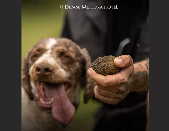 Φθινοπωρινή απόδραση στα Μετέωρα: Περιπέτεια στη φύση με... γαστρονομικό happy end Φθινοπωρινή απόδραση στα Μετέωρα: Περιπέτεια στη φύση με... γαστρονομικό happy end