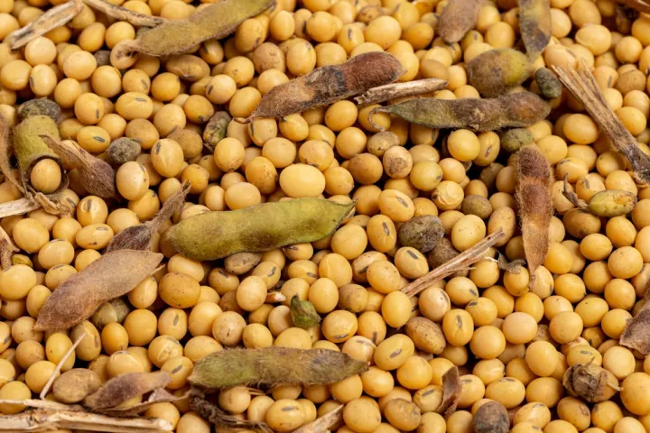 Η Κίνα αυξάνει τις αγορές σόγιας από τη Βραζιλία ενόψει νέας εμπορικής συμφωνίας με τις ΗΠΑ