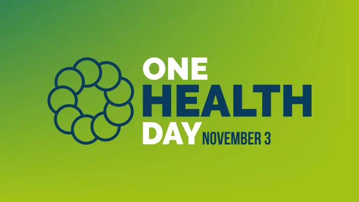 One Health Day: Η υγεία ανθρώπων, ζώων και περιβάλλοντος σε κοινή πορεία