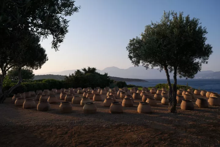 Ίδρυμα Μαμιδάκη: Ανοιχτό κάλεσμα για το Βραβείο Τέχνης 2026