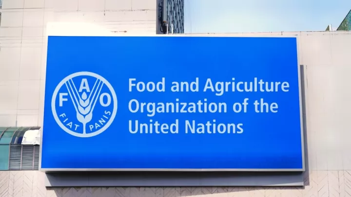 ΟΗΕ: Οι παγκόσμιες δαπάνες για εισαγωγές τροφίμων αναμένεται να αυξηθούν κατά σχεδόν 8% το 2025