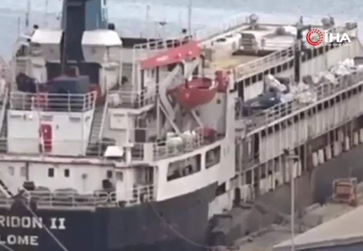 Τουρκία: Πάνω από 2.800 αγελάδες παραμένουν εγκλωβισμένες σε πλοίο - Τουλάχιστον 58 έχουν πεθάνει και 140 έχουν γεννήσει (vid)