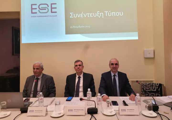 Αρ. Παντελιάδης (ΕΣΕ): Δεν είμαστε η αιτία της ακρίβειας - Απορροφούμε όσο μπορούμε τα κόστη