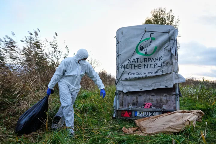 Γαλλία: Μια μετάλλαξη του ιού της γρίπης των πτηνών θα μπορούσε να προκαλέσει πανδημία χειρότερη της COVID 