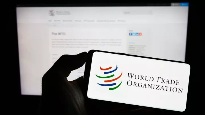 ΠΟΕ: Επιβράδυνση της ανάπτυξης του εμπορίου αγαθών στο δεύτερο εξάμηνο του 2025