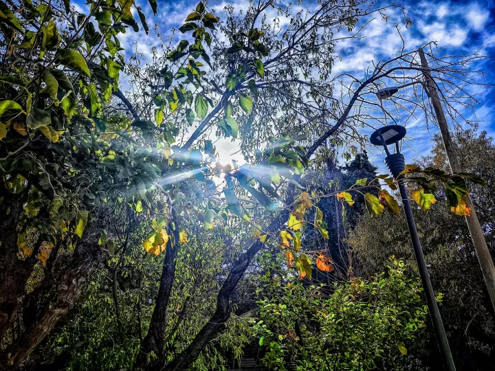 Υποχωρεί την Κυριακή η κακοκαιρία Adel - Η πρόγνωση για την ερχόμενη εβδομάδα 