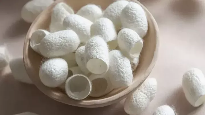 Evdaimonia: Η οικοτεχνία του Σουφλίου που μετατρέπει το κουκούλι σε φυσικό προϊόν ομορφιάς – H ανάπτυξη και τα σχέδια για εξαγωγές