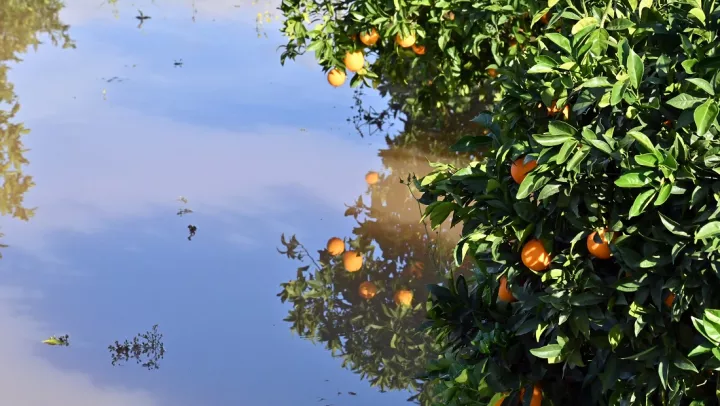Σε κατάσταση έκτακτης ανάγκης ο δήμος Φλώρινας