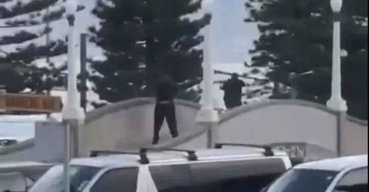 Συγκλονιστικά βίντεο από την τρομοκρατική επίθεση στο Σίδνεϊ: Η στιγμή που πολίτης προσπαθεί να αφοπλίσει τον ένα δράστη (vids)