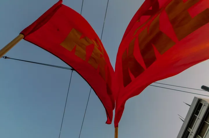 Ιερές αγελάδες