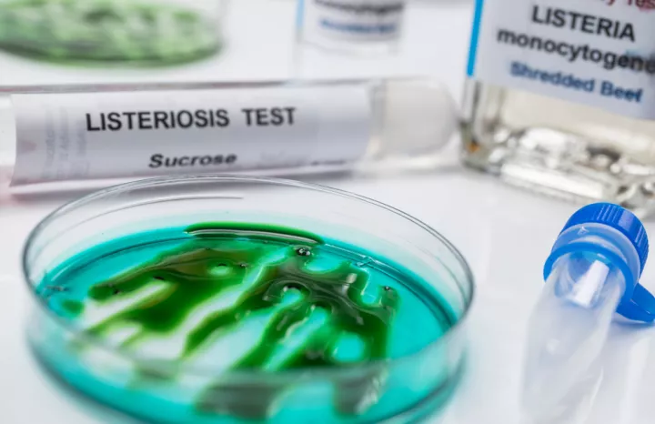 Ραγδαία αύξηση λοιμώξεων από Listeria στην Ευρώπη: Τι δείχνει η νέα μεγάλη έκθεση EFSA – ECDC