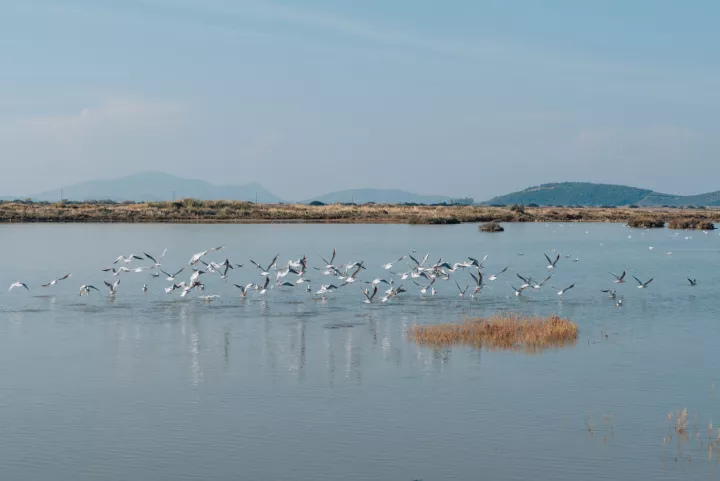 Υπερταμείο: Εκκινεί διεθνής διαγωνισμός για τις «Ελληνικές Αλυκές Α.Ε.»