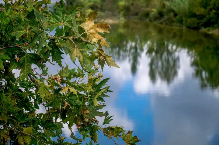 Αύξηση στις αφίξεις και διανυκτερεύσεις στα ελληνικά τουριστικά καταλύματα τον Οκτώβριο