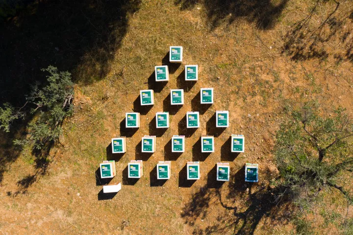 Bee the Change - Make the Difference: Κωτσόβολος και ΑΦΗΣ ενισχύουν τη βιοποικιλότητα