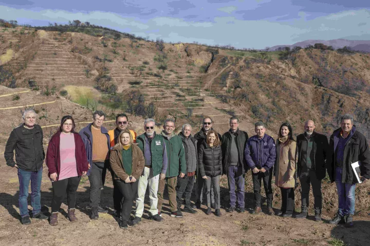 Coca-Cola Τρία Έψιλον: Σε εξέλιξη με ταχείς ρυθμούς η αποκατάσταση των πυρόπληκτων περιοχών της Πάτρας-Αχαΐας