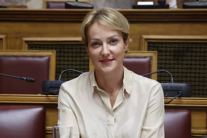 Αλ. Σδούκου για αγροτικά μπλόκα: Είναι λανθασμένη επιλογή, επιστρέφουμε 30 χρόνια πίσω 