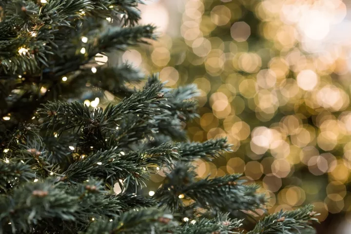 Χειμερινές διακοπές με voucher κοινωνικού τουρισμού της ΔΥΠΑ