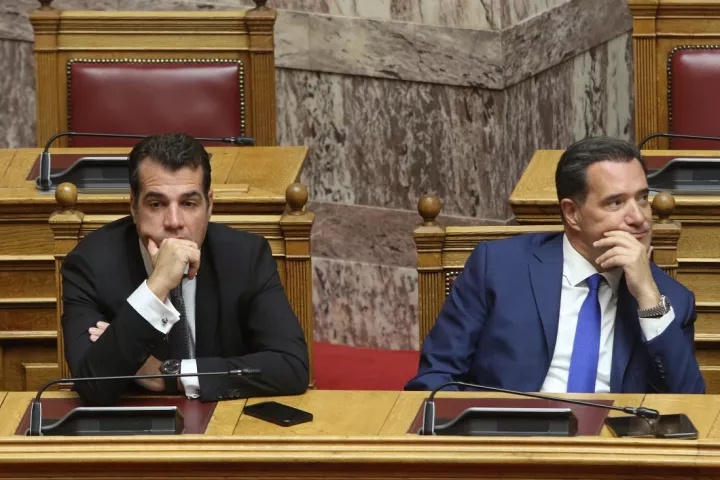 Πλεύρης και Γεωργιάδης για Διεθνή Αμνηστία και Δικαστήριο της Χάγης: «Αντιδυτικά και αριστεροκρατούμενα»