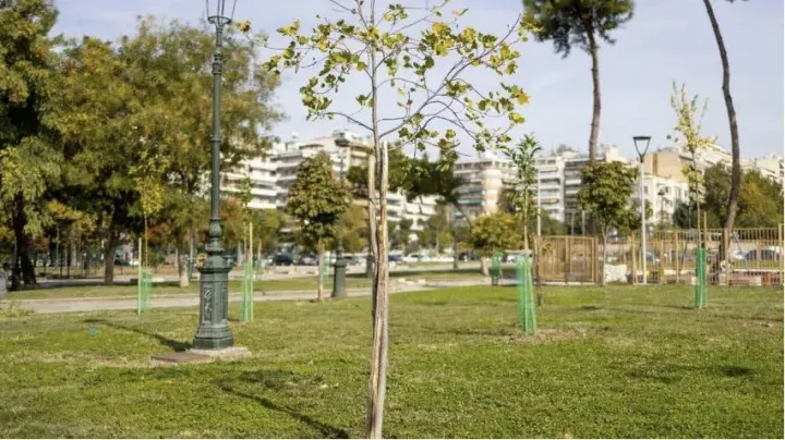 Πράσινο στον δήμο Θεσσαλονίκης: Ο... εφικτός στόχος των 20.000 φυτεύσεων, οι δενδροδόχοι και το «λίφτινγκ» σε πάρκα