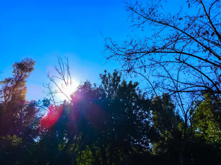 Θ. Κολυδάς: Ήπιο και χωρίς ακραία χειμερινά χαρακτηριστικά το πρώτο μισό του Ιανουαρίου στη χώρα