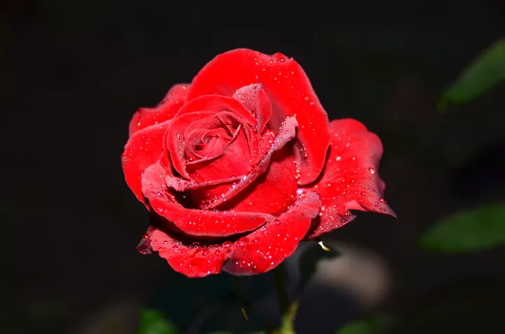 Μια ιστορία που έγινε παραμύθι