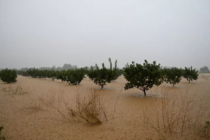 Πολιτική Προστασία: Σε «Red Code» πέντε Περιφέρειες ενόψει των έντονων καιρικών φαινομένων