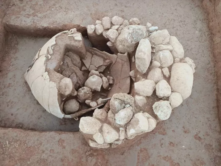 Ανασκαφές στη Ραφήνα Αττικής: Βρέθηκε ταφή σε πίθο της Πρώιμης Εποχής του Χαλκού