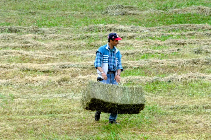 Υπ. Αγροτικής Ανάπτυξης: Δίχτυ προστασίας σε 21 ελληνικά ΠΟΠ προϊόντα από τη συμφωνία Mercosur - Οι δικλείδες ασφαλείας