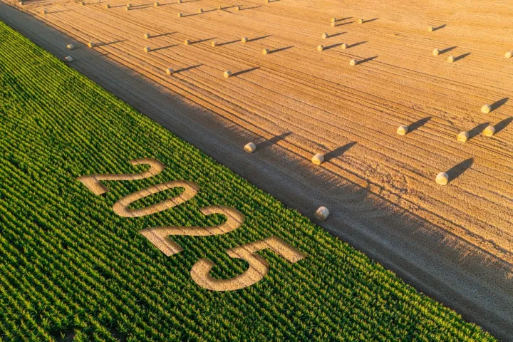 Κλιματική αλλαγή: To 2025 ήταν ένα από τα 3 θερμότερα έτη που έχουν καταγραφεί στα χρονικά