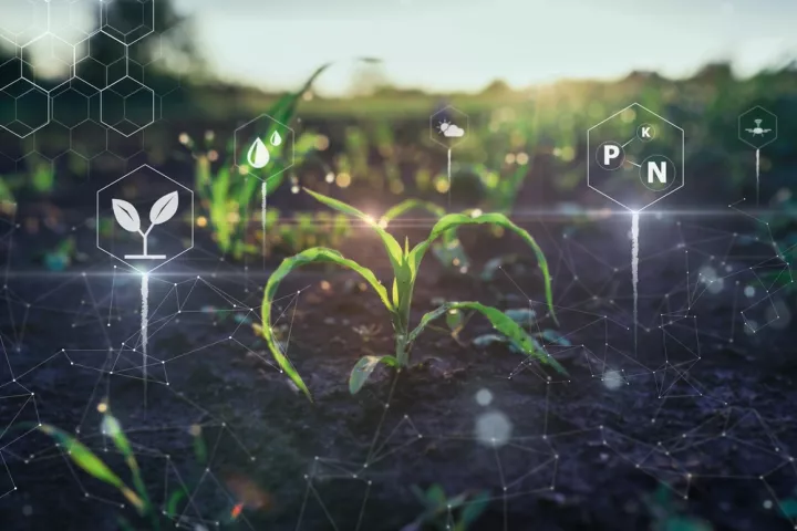 Κίνα: Το Sinong είναι το πρώτο γλωσσικό μοντέλο AI ευρείας χρήσης για την αγροτική οικονομία