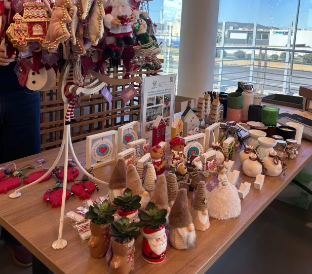 Η Volton φώτισε για ακόμη μία χρονιά την εορταστική περίοδο μέσα από δράσεις κοινωνικής υπευθυνότητας