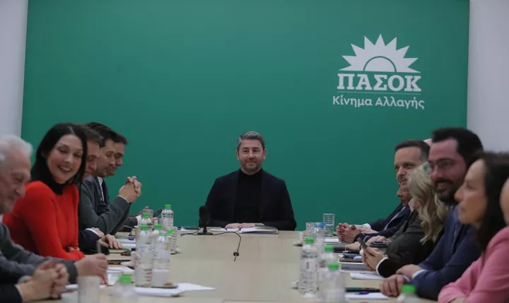 Μύλος στη συνεδρίαση του ΠΑΣΟΚ: Πυρά κατά Ανδρουλάκη από Δούκα και Γερουλάνο - «Απέτυχε η στρατηγική μας»