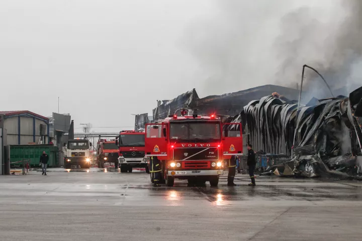 Νέα ανακοίνωση της «Βιολάντα»: Πέντε οικογένειες θρηνούν – Μηνιαία οικονομική στήριξη και ψυχολογική βοήθεια