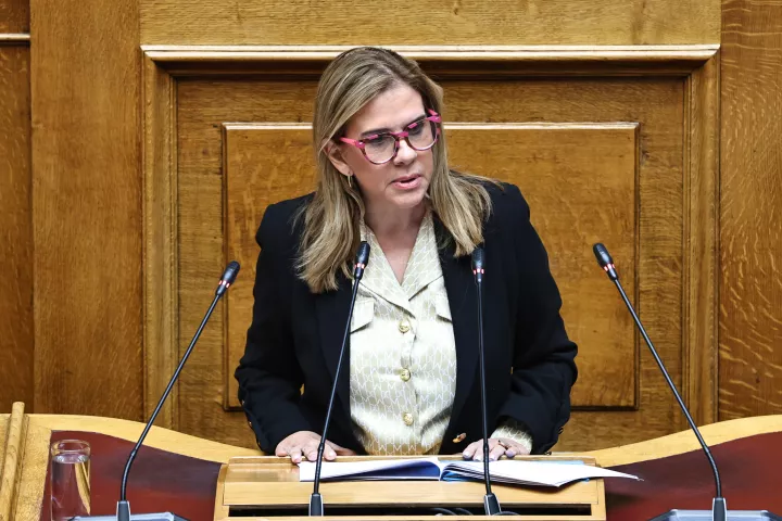 Νομοσχέδιο για την προστασία έργων τέχνης: Την υπερψήφισή του ζήτησε η Ζωή Ράπτη