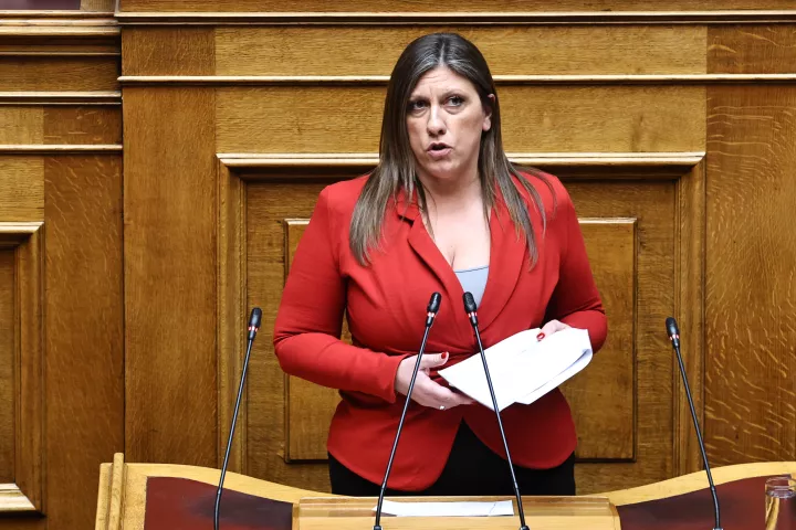 Ζωικό πολιτικό κεφάλαιο