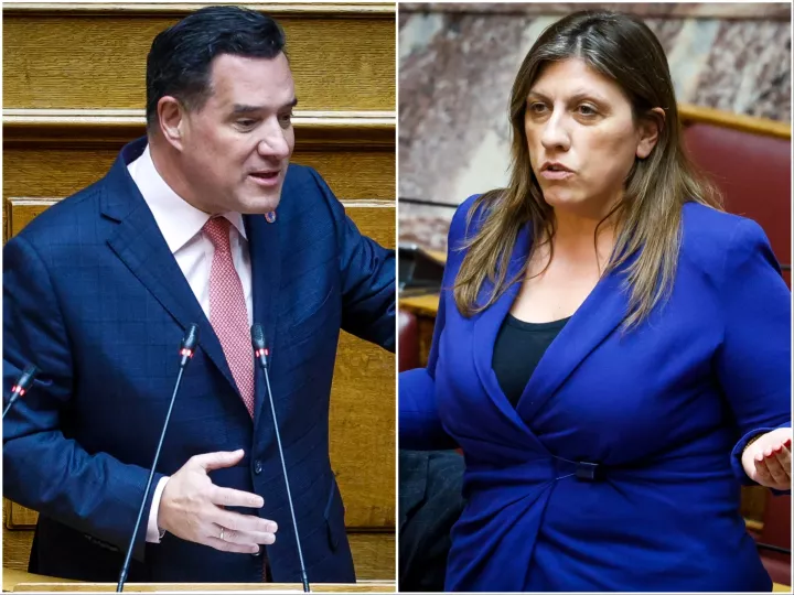 Άδ. Γεωργιάδης: Προτείνω στην Κωνσταντοπούλου να κατέβει υποψήφια με την Καρυστιανού για να είναι στην επόμενη Βουλή