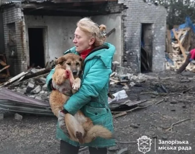 Ουκρανία: Ρωσικό μη επανδρωμένο αεροσκάφος πλήττει καταφύγιο ζώων