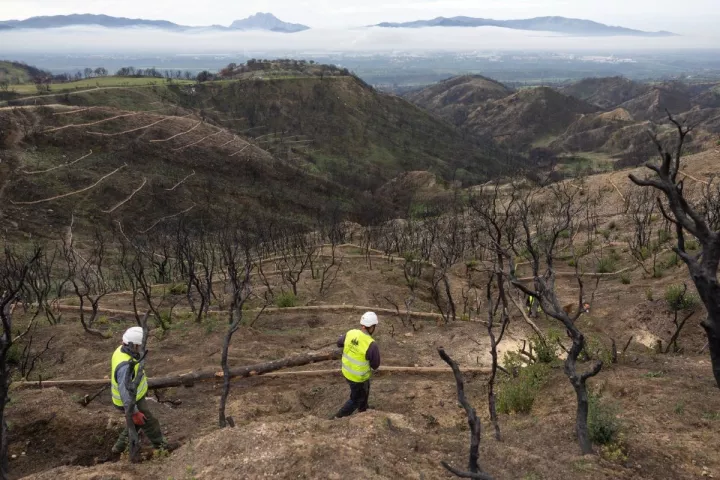 Ολοκληρώθηκαν σε μόλις 2 μήνες τα έργα αποκατάστασης στην περιοχή της Πάτρας-Αχαΐας, με δωρεά από το Ίδρυμα Coca-Cola HBC