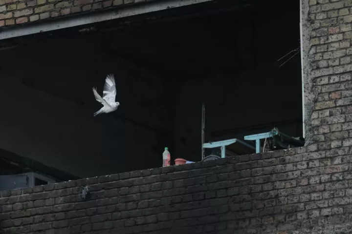 Ουκρανία: H διορία του Ιουνίου, εδαφικό, εκλογές και το «πακέτο Ντμίτριεφ»